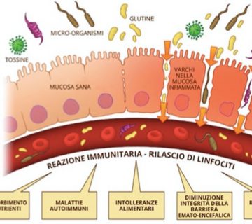 Senza titolo 360x320